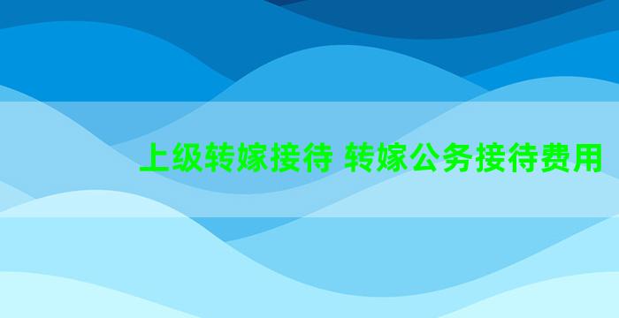 上级转嫁接待 转嫁公务接待费用